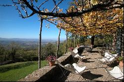 Podere Bacche - charming rural villa in the idyllic Val d'Orcia