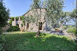 Villa Gladiolo - beautiful countryside estate among olive groves