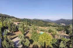 Villa Gladiolo - beautiful countryside estate among olive groves