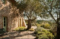 Villa Gladiolo - beautiful countryside estate among olive groves