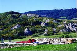 Casa Lappolina - a majestic villa in the Tuscan Val d'Orcia countryside