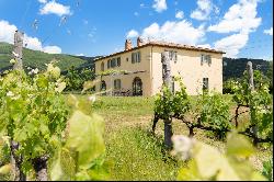 Villa Casetta encircled by Merlot vineyards