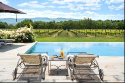 Villa Casetta encircled by Merlot vineyards