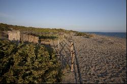 Casa Ivy - beautiful property immersed in a marvelous natural scenery