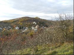 DARASCU-ENIGARESCU CASTLE IN VIFORTA