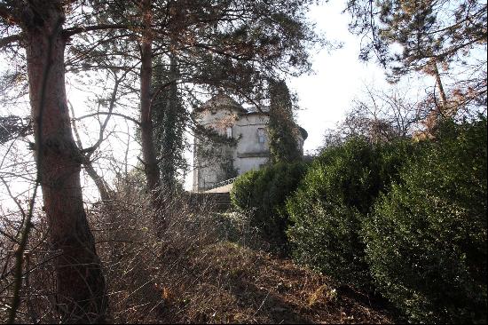 DARASCU-ENIGARESCU CASTLE IN VIFORTA