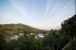 DARASCU-ENIGARESCU CASTLE IN VIFORTA