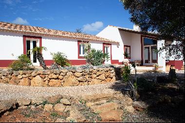 Farmhouse set on 3 hectares of land in Montinha da Rocha