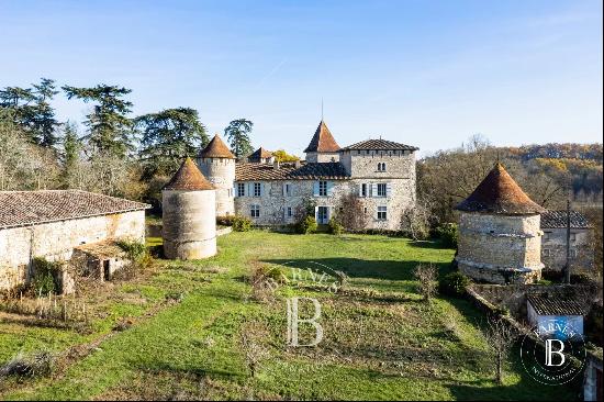 MAGNIFICENT MEDIEVAL AND RENAISSANCE CHATEAU IN THE GERS WITH 208 HECTARES