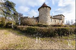 MAGNIFICENT MEDIEVAL AND RENAISSANCE CHATEAU IN THE GERS WITH 208 HECTARES