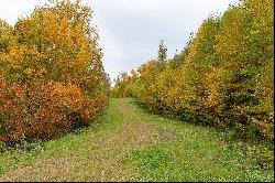 Ferme-Neuve, Laurentides