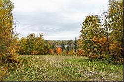 Ferme-Neuve, Laurentides