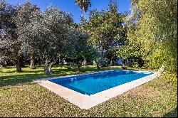 Singular villa with swimming pool in Mairena del Aljarafe