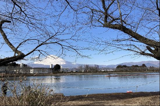 GOTENBA HIGASHIYAMA LAND