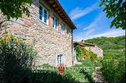 Chianti - RESTORED COUNTRY HOUSE FOR SALE IN GREVE, TUSCANY