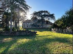 Château Gascon in the middle of the vineyards of the South-West