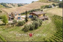 Marche - 6.9-ha BOUTIQUE ORGANIC WINERY FOR SALE IN ITALY