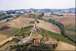 Marche - 6.9-ha BOUTIQUE ORGANIC WINERY FOR SALE IN ITALY