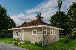 Brand New 4 Bedroom Home With Detached Ohana