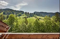 Rental - Apartment Gstaad 