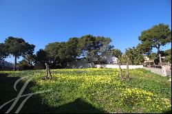 Sunny building plot with licence in Palmanova