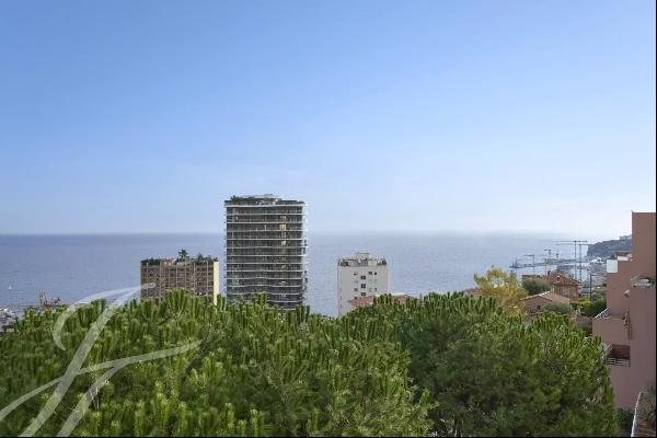 Apartment with sea view at the gate of Monaco