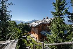 Magnificent mountain chalet with swimming pool