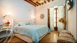 Duplex Apartment with Character next to the Catedral.