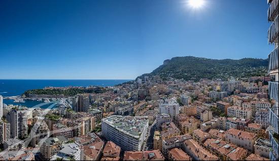 Sole agent - Monte-Carlo - Le Millefiori - Renovated one bedroom apartment