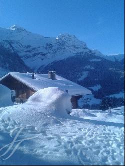 Charming two bedroom flat in Les Diablerets