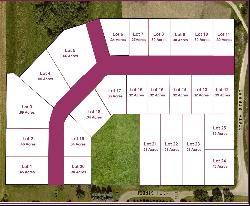 LOT 22 1Oth Street, Quasqueton IA 52326