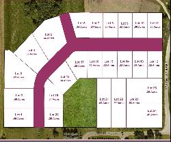 Lot 3 Walnut Street, Quasqueton IA 52326