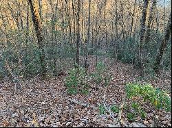 Lot 71 Stillbranch Rd., Sylva NC 28779