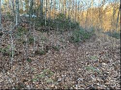 Lot 71 Stillbranch Rd, Sylva NC 28779