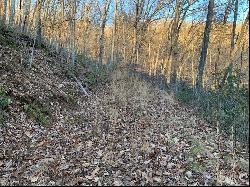 Lot 71 Stillbranch Rd, Sylva NC 28779