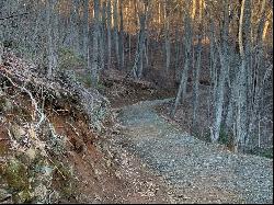 Lot 71 Stillbranch Rd, Sylva NC 28779