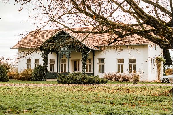 The Hunting Chalet of Count Zichy Ferenc