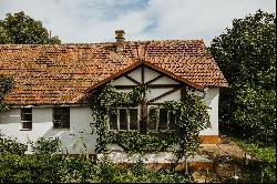 Vineyard, wine cellar and stories at Pivnitele Birauas in D.O.C Minis