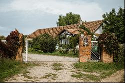 Vineyard, wine cellar and stories at Pivnitele Birauas in D.O.C Minis