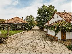 Vineyard, wine cellar and stories at Pivnitele Birauas in D.O.C Minis