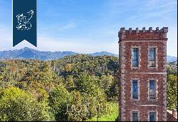 Between Italy and Switzerland: historical estate for sale with a villa, a tower, an outbui