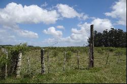 37 acres near Jose Ignacio