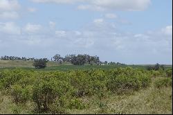 37 acres near Jose Ignacio