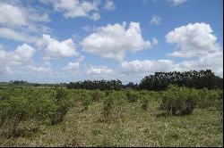 37 acres near Jose Ignacio