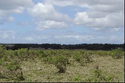 37 acres near Jose Ignacio