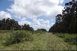 37 acres near Jose Ignacio