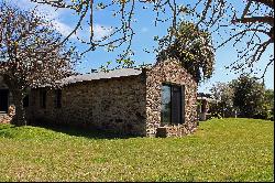 Farm with olive groves in Pueblo Edén