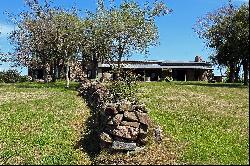 Farm with olive groves in Pueblo Edén