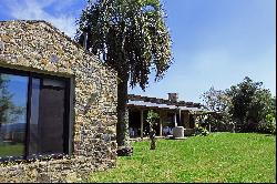 Farm with olive groves in Pueblo Edén