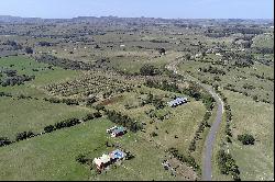 Farm with olive groves in Pueblo Edén